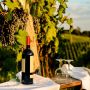 Soirée Les Vins d’Italie 